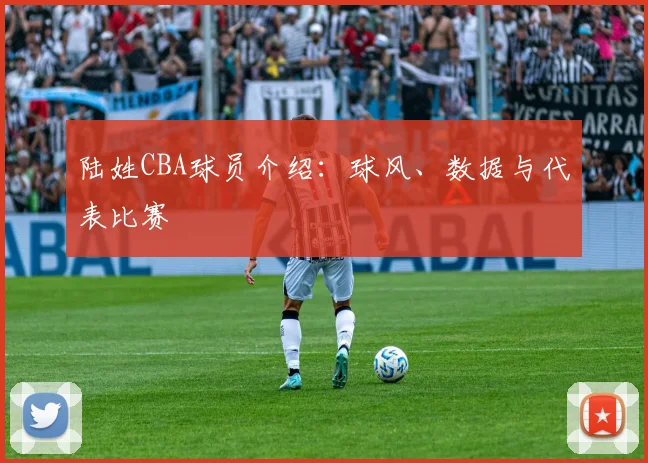 陆姓CBA球员介绍：球风、数据与代表比赛